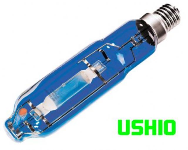 MH 1000w Ushio