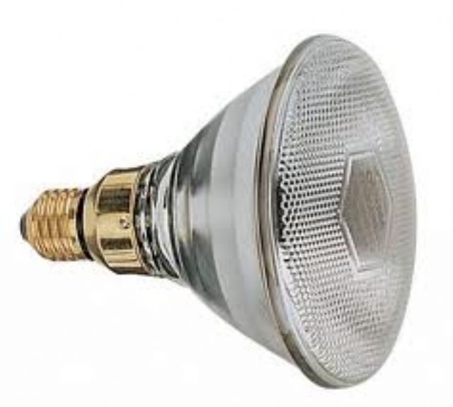 Par 38 120w 220v Flood